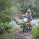 best dynamo lights