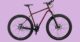 Co-Motion Tumalo Pinion Bikepacking Bike