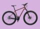 Co-Motion Tumalo Pinion Bikepacking Bike