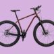 Co-Motion Tumalo Pinion Bikepacking Bike